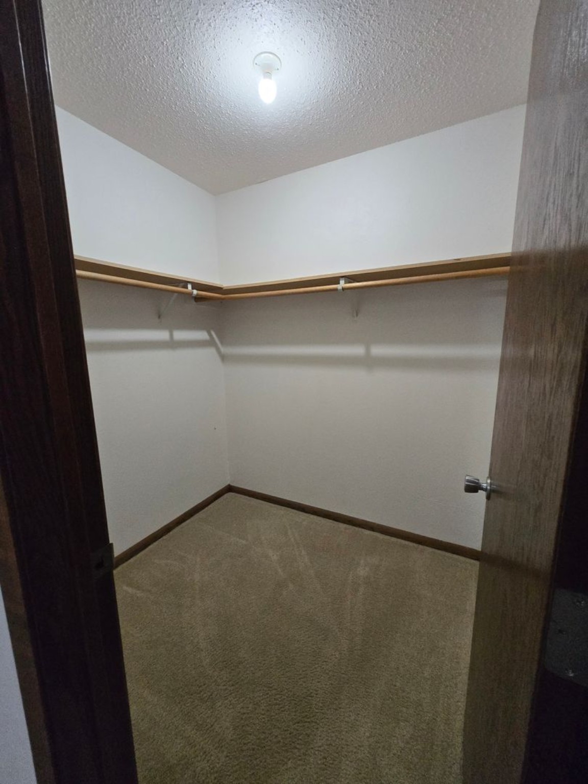 Courtwood one-bedroom apartment walk-in closet