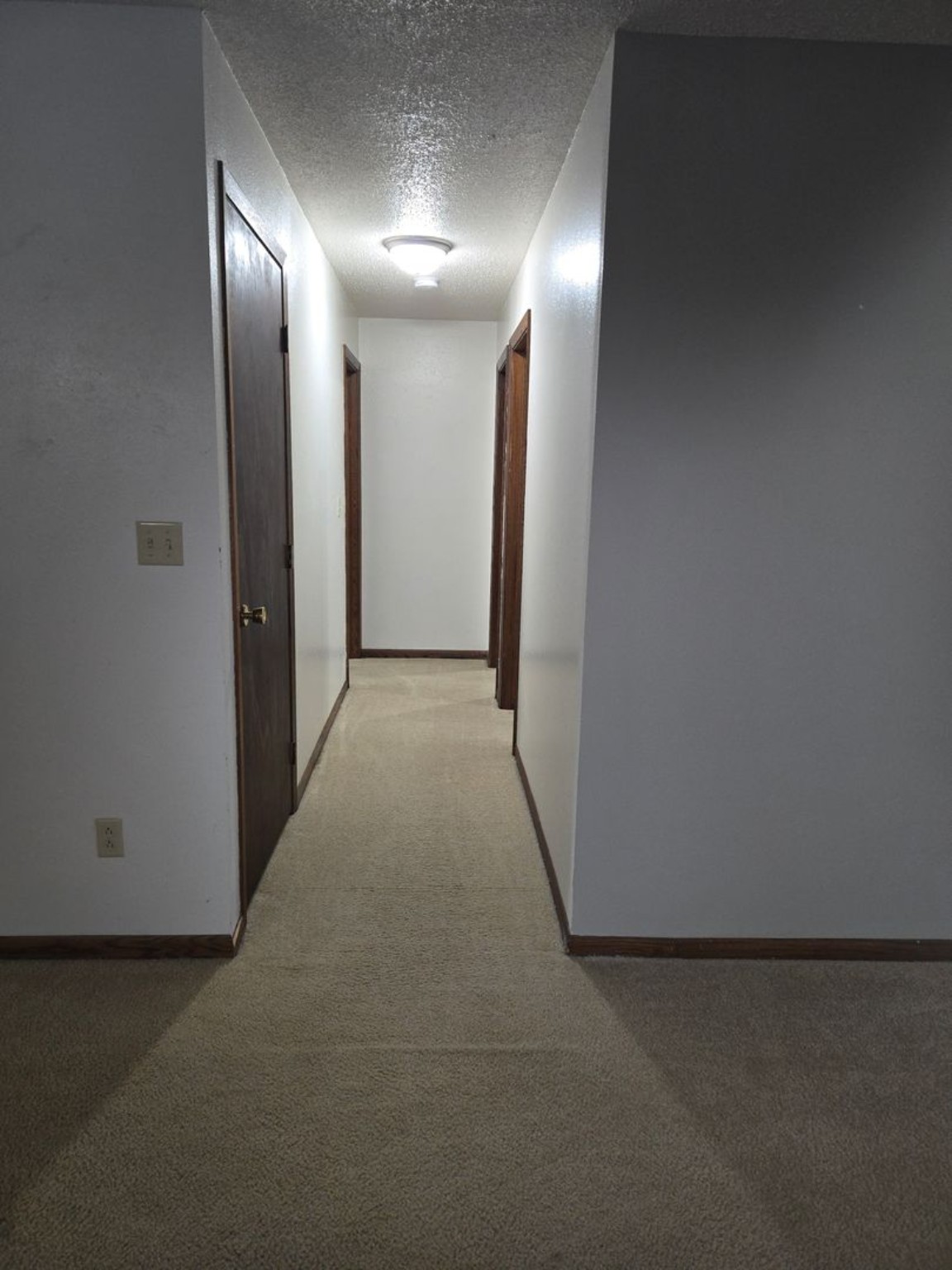 Courtwood one-bedroom apartment hallway