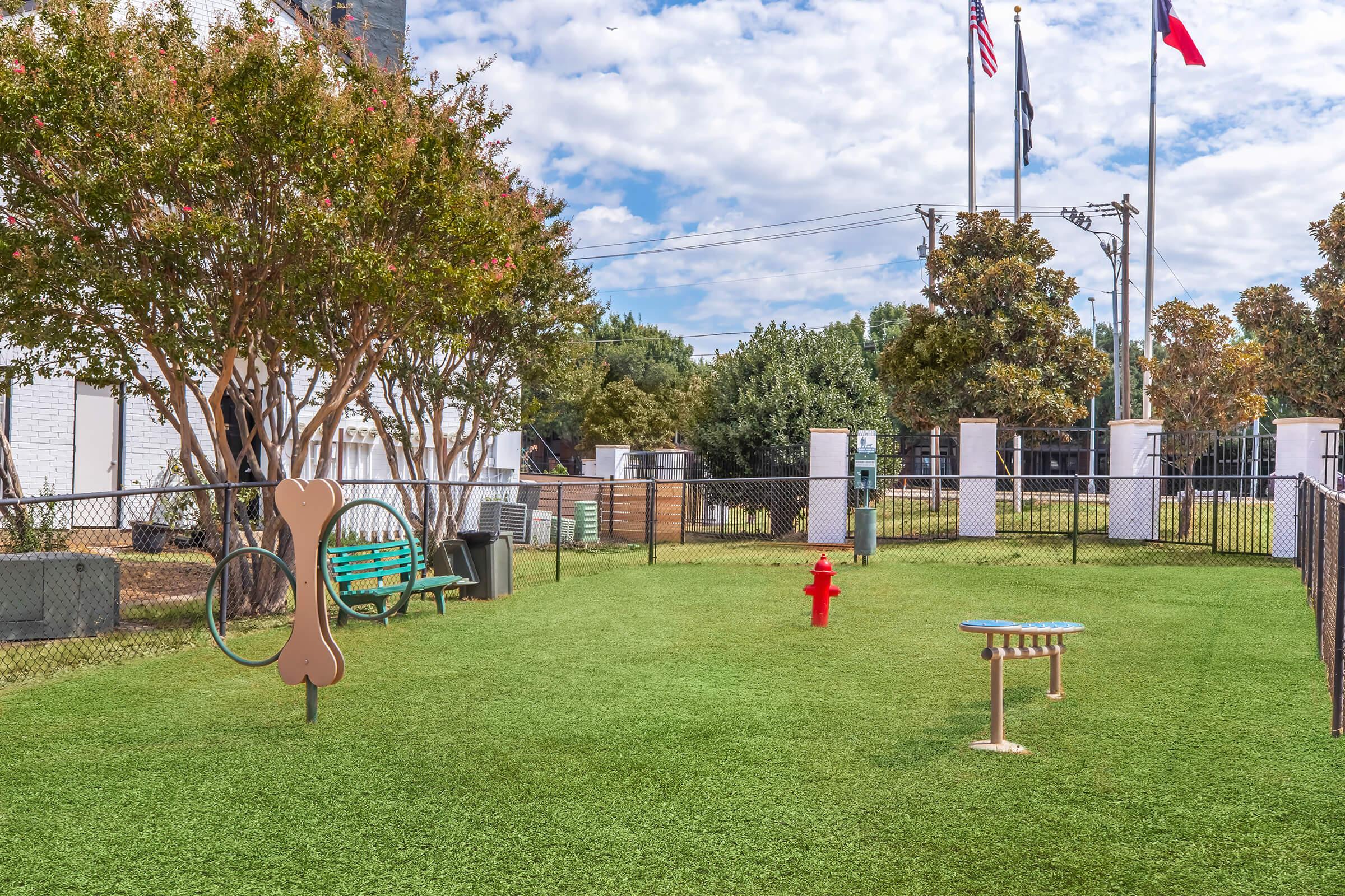 Winston dog park and agility equipment