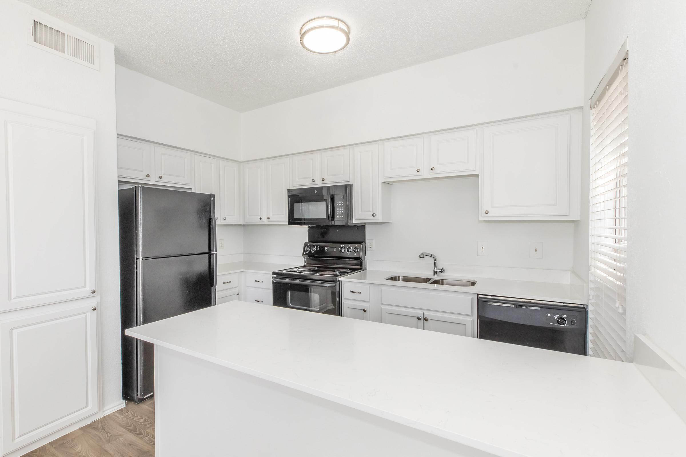 Winston apartment kitchen with breakfast counter